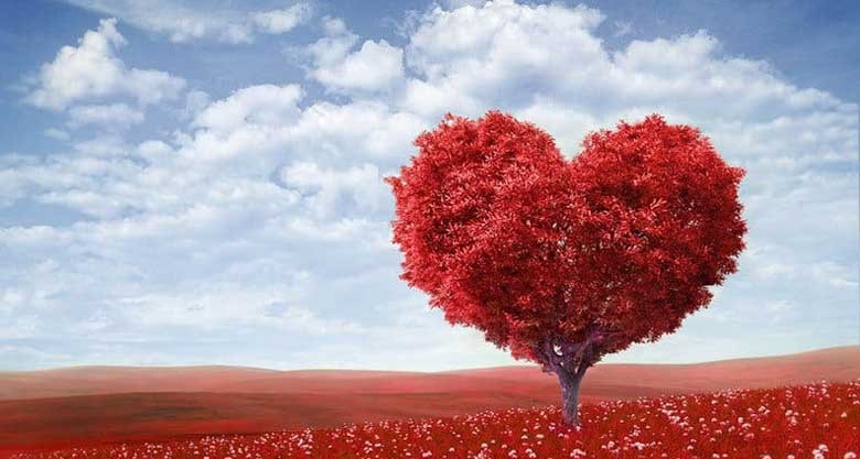 10 روش برای مخ زدن حرفه ای 